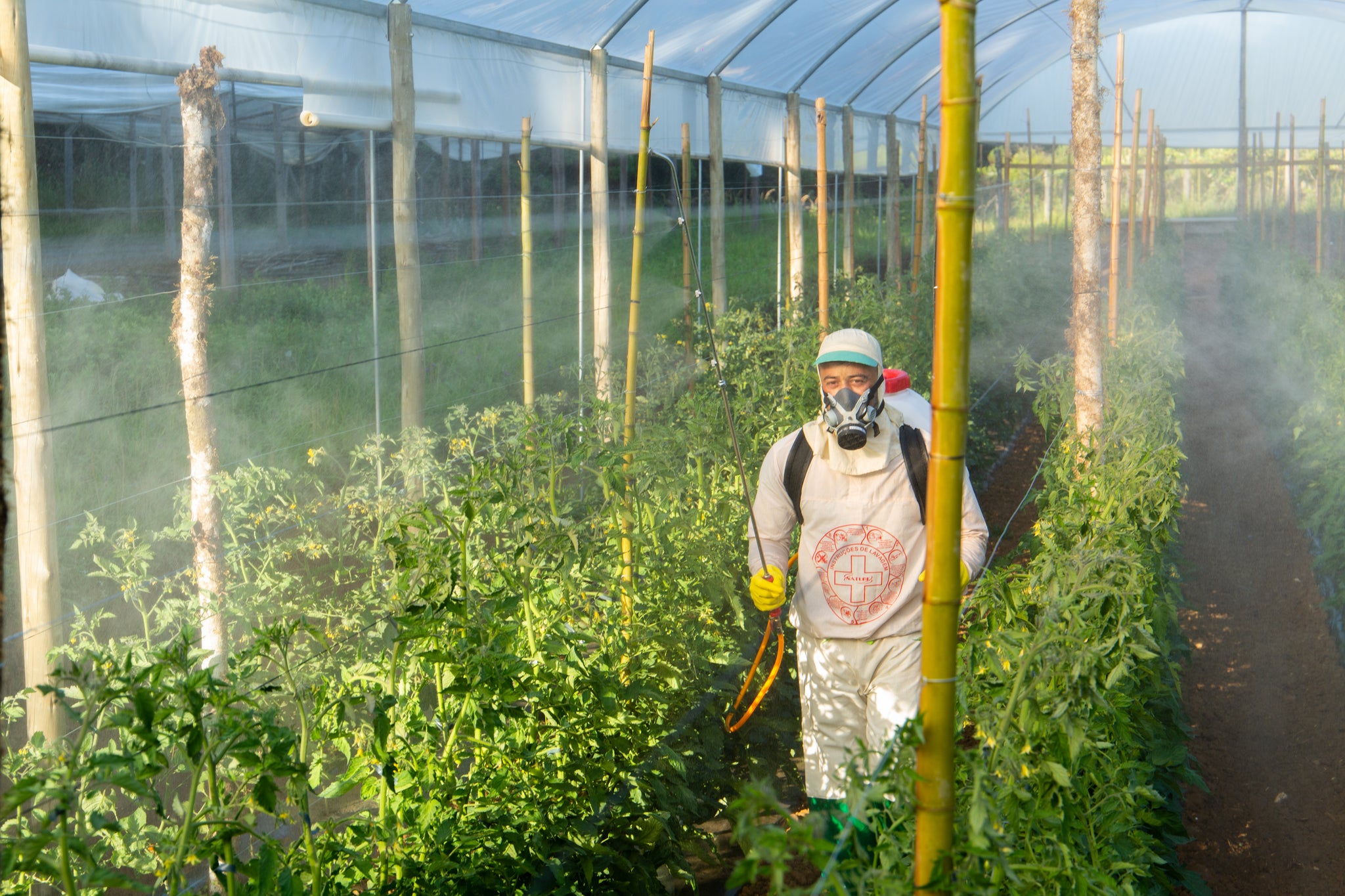 Pulverizador 26CC doble lanza