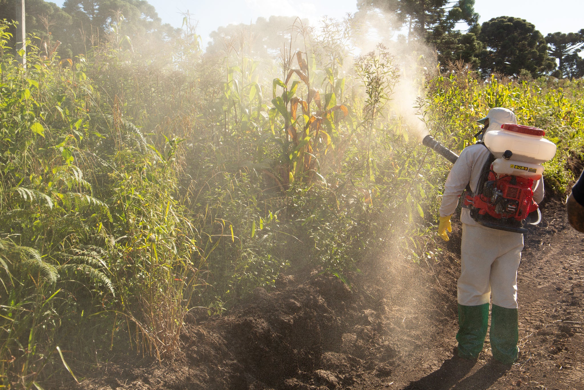 Pulverizador De Espalda (X)  2T 56,5 CC 14 LTS