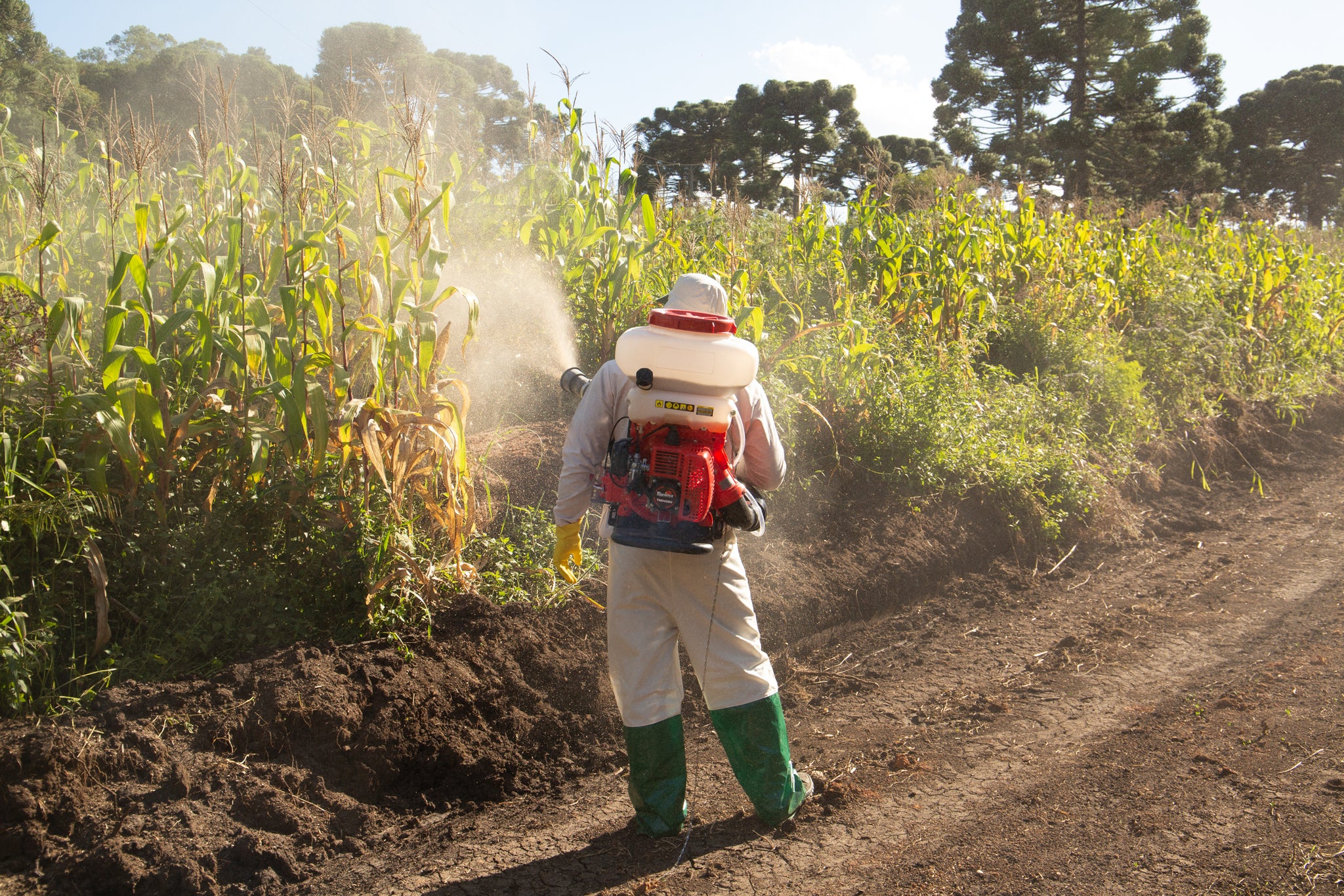 Pulverizador De Espalda (X)  2T 56,5 CC 14 LTS